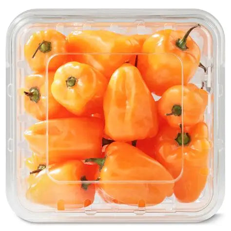 Habanero Pepper